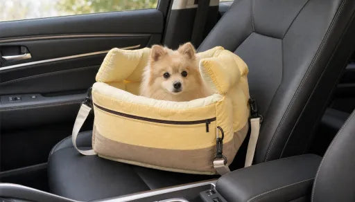 Dog Car Seat Covers: How to Choose the Right One