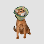 Mesh Pet Cone Collar