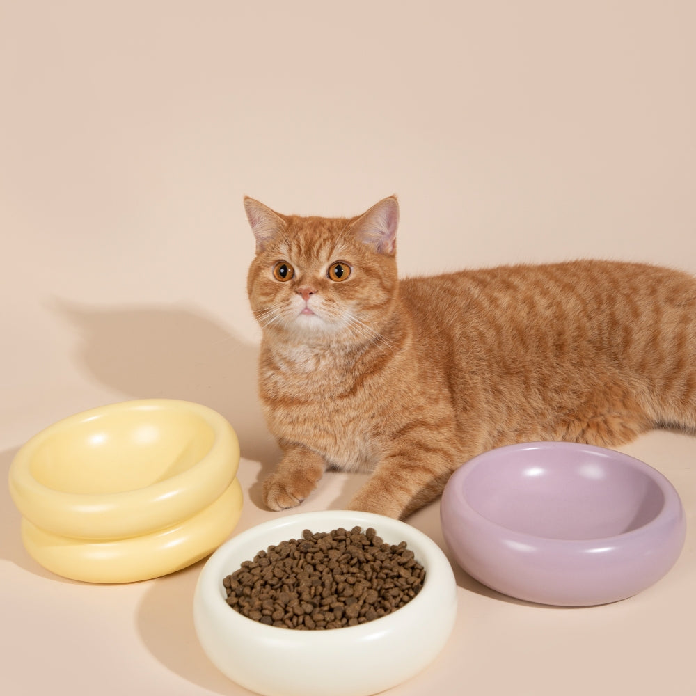 The Toast Ceramic Pet Bowl