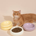 The Toast Ceramic Pet Bowl
