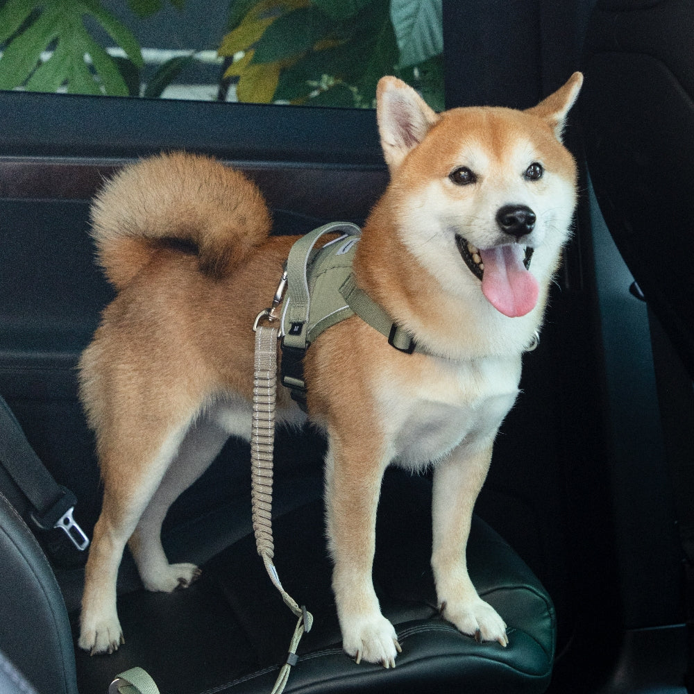 Adjustable Shock-Absorbing Car Safety Belt
