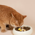 The Toast Ceramic Pet Bowl