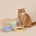 Mini Handle Ceramic Pet Bowl