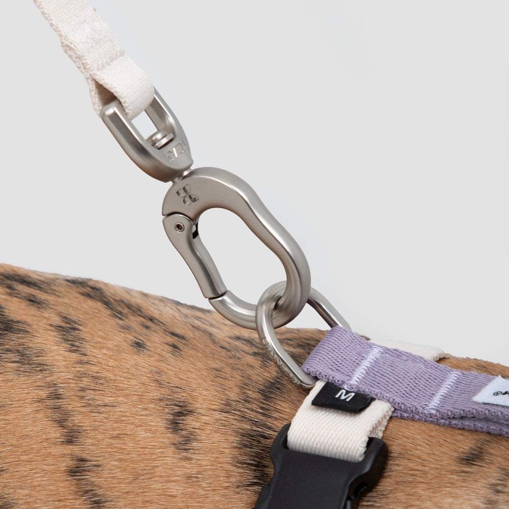 Lightweight H-Style Harness & Leash Set