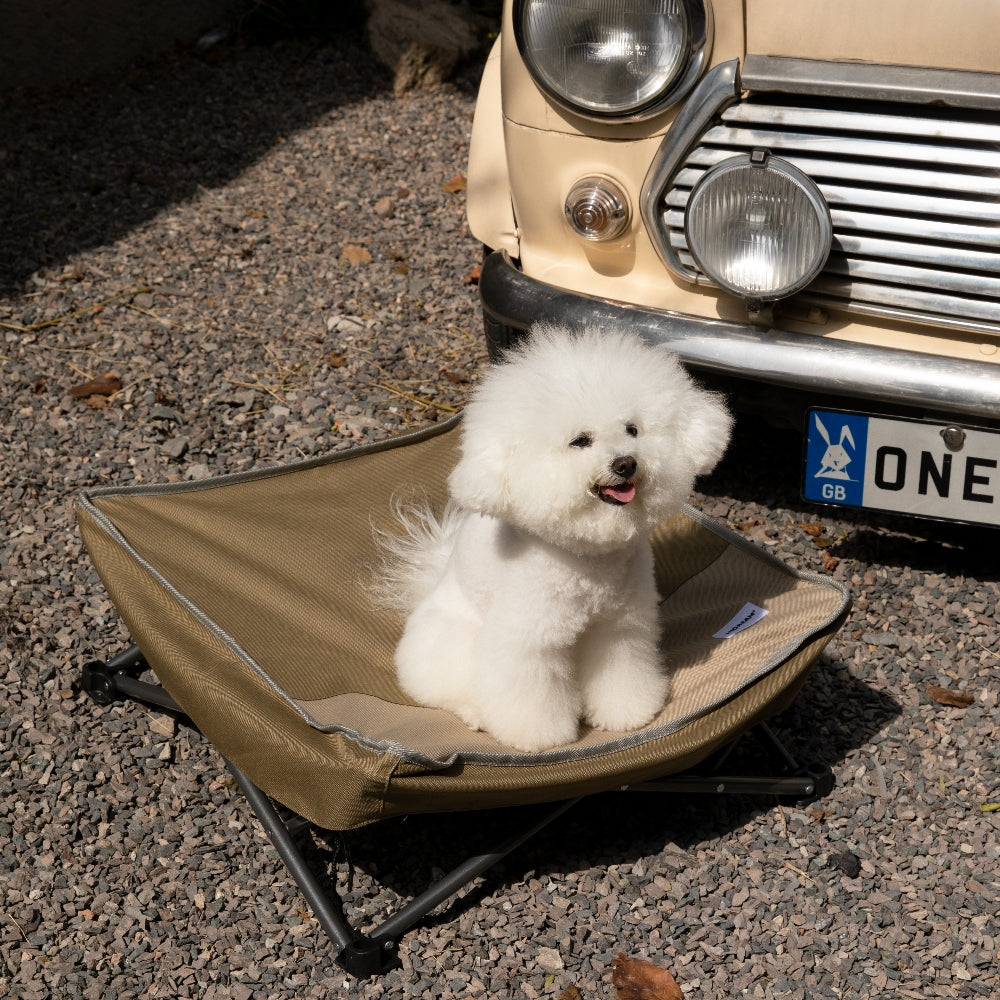 Elevated Foldable Pet Cot