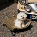 Elevated Foldable Pet Cot