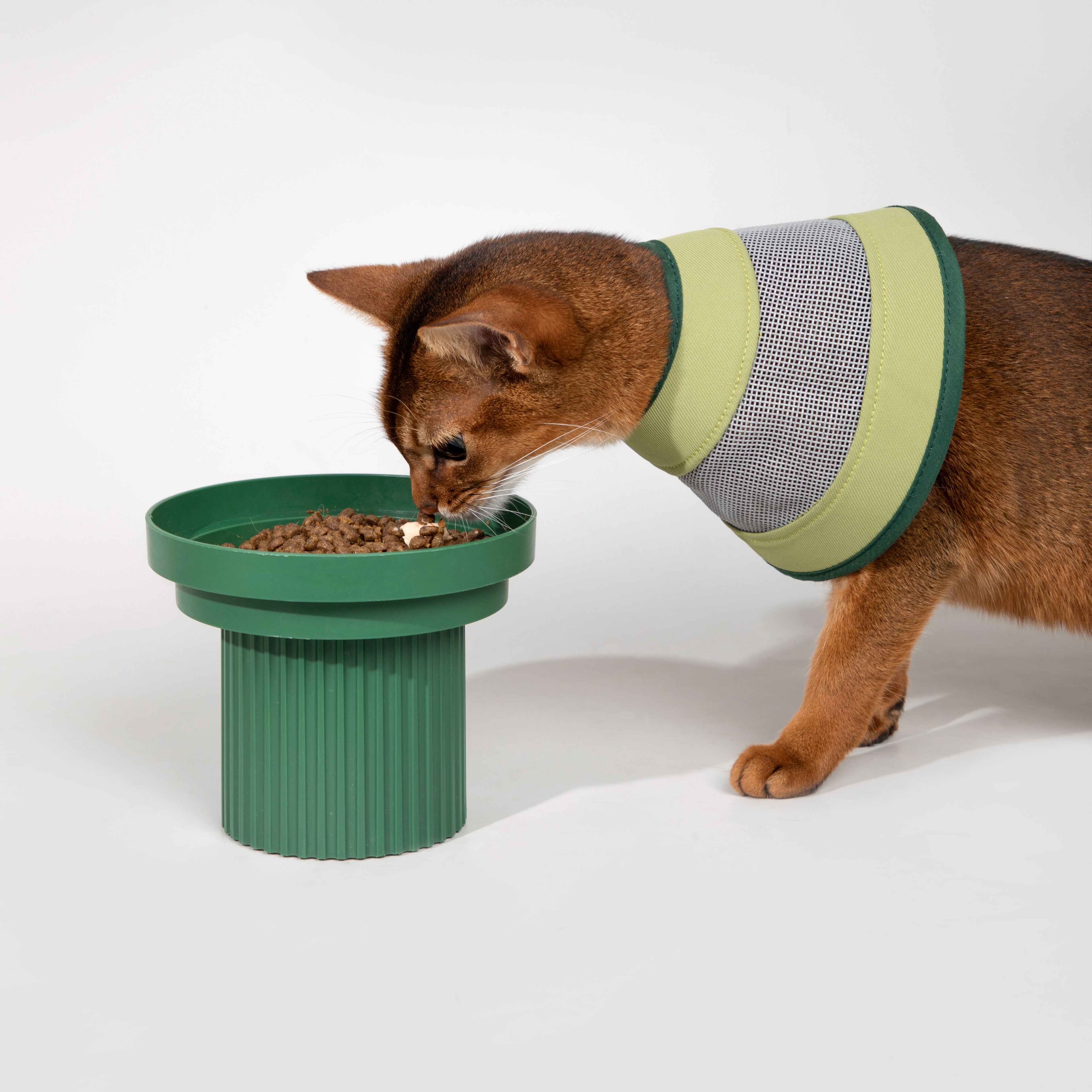 Mesh Pet Cone Collar
