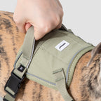 Anti-Pull Quick-Release Dog Harness