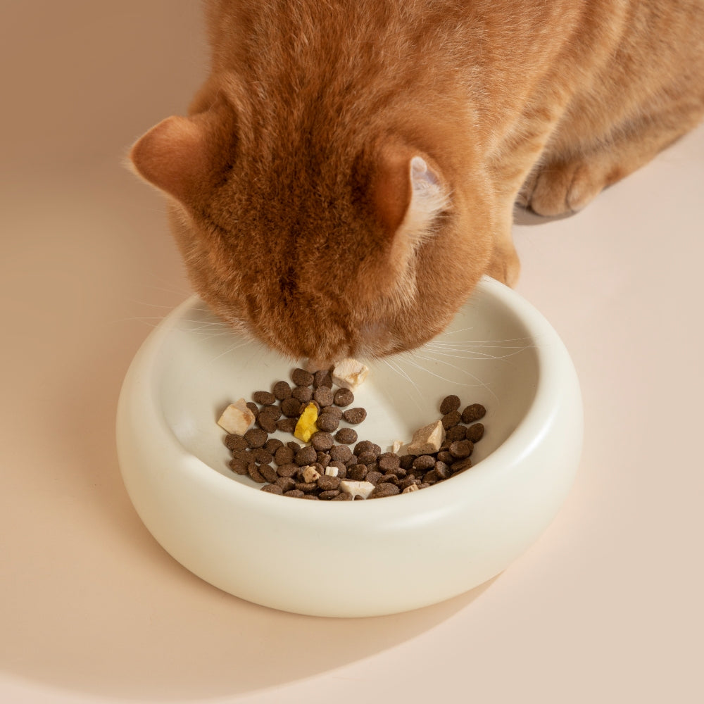 The Toast Ceramic Pet Bowl