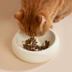 The Toast Ceramic Pet Bowl