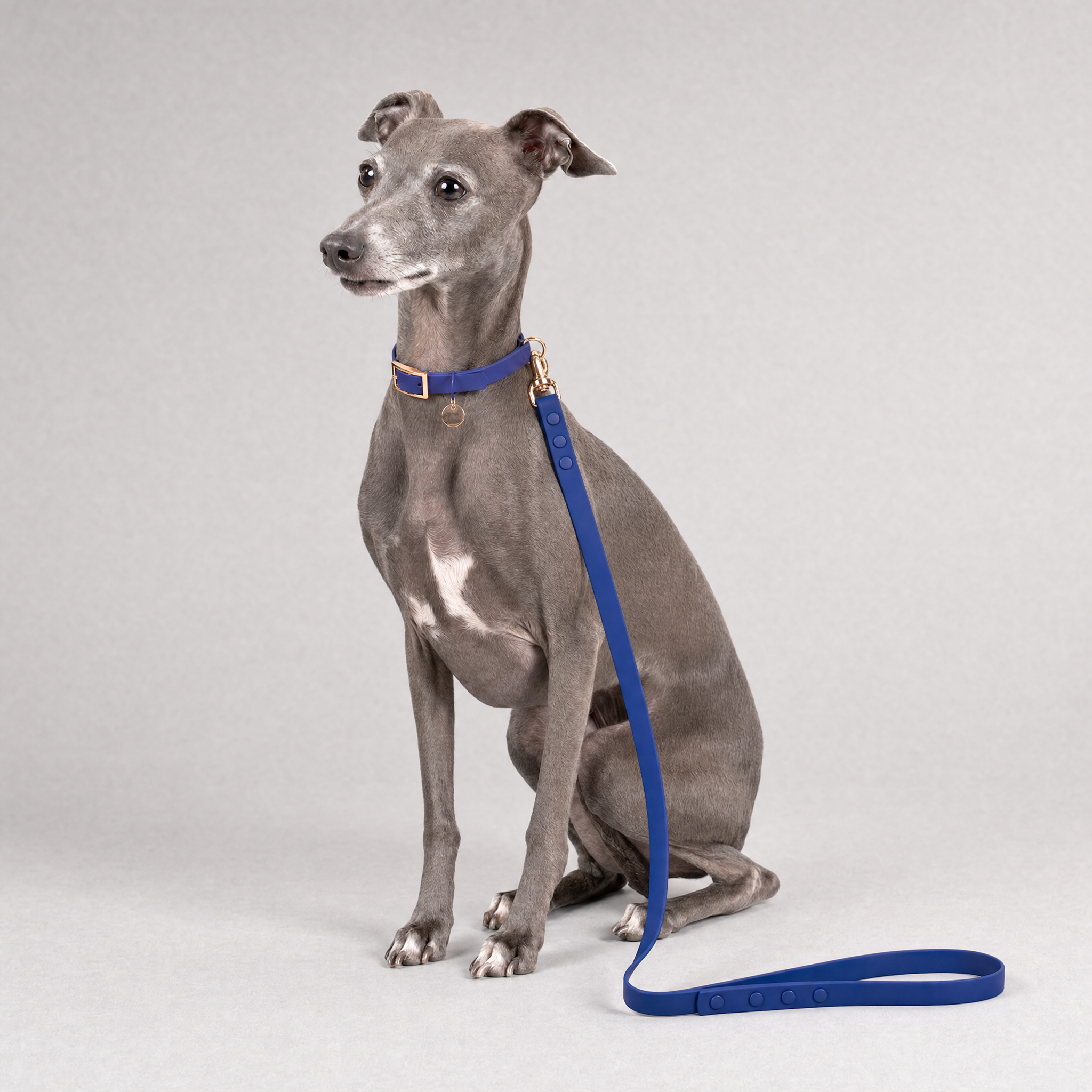 CloudFit Leash Secondary image
