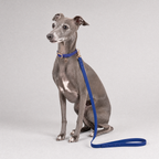 CloudFit Leash