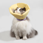 Pet Cone Collar