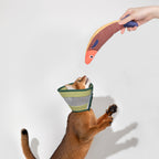 Mesh Pet Cone Collar
