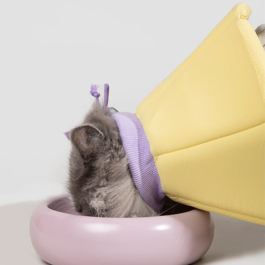 Pet Cone Collar