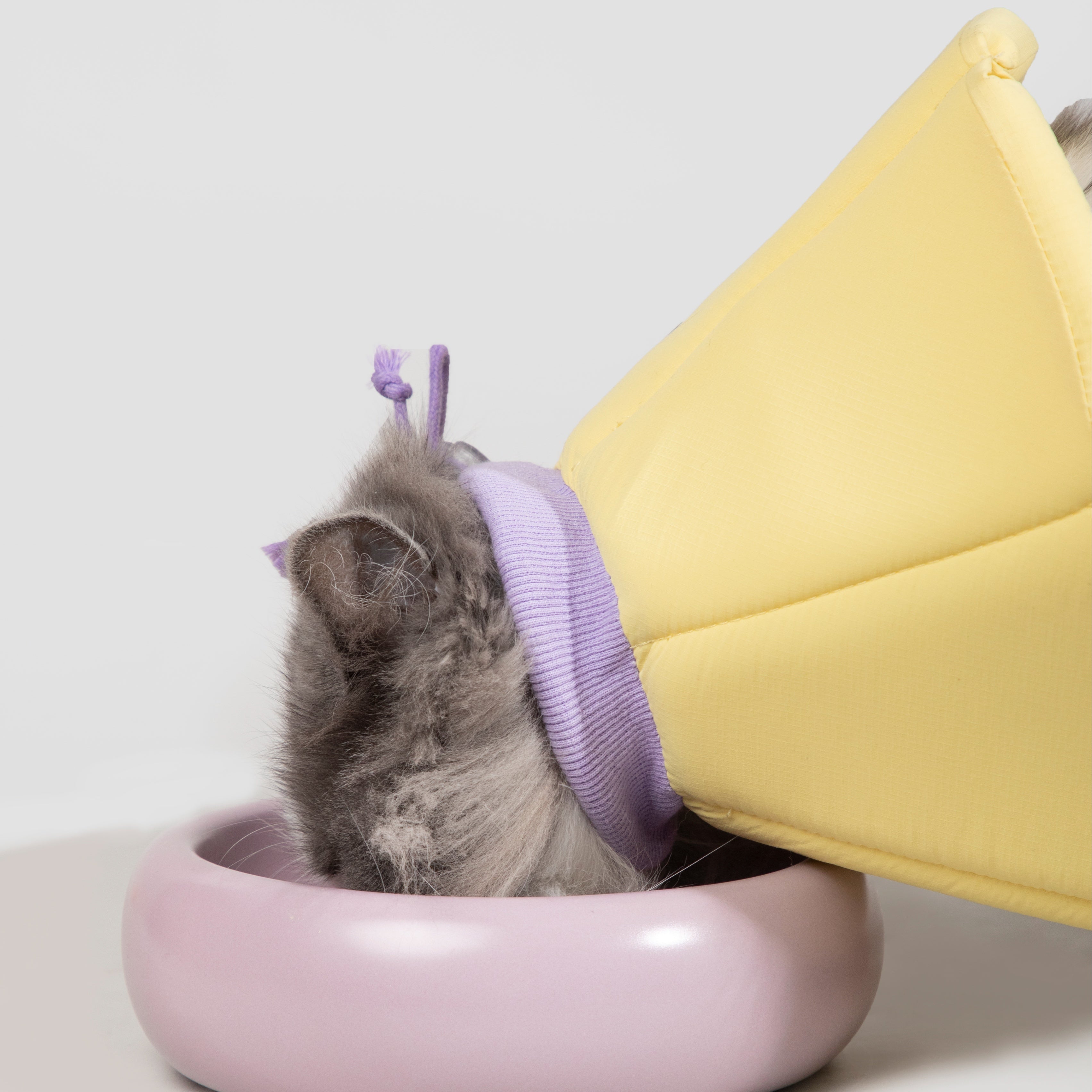 Pet Cone Collar