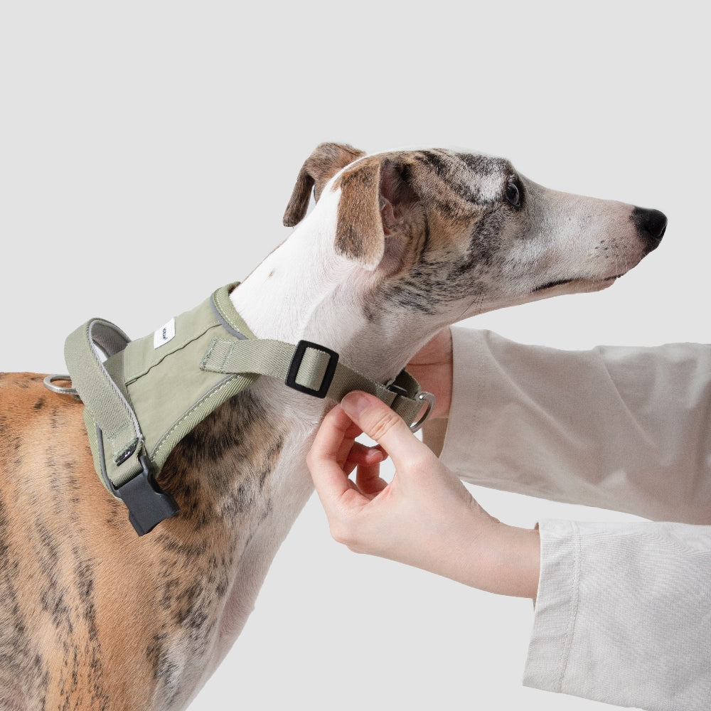 Anti-Pull Quick-Release Dog Harness