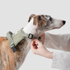 Anti-Pull Quick-Release Dog Harness