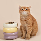The Toast Ceramic Pet Bowl