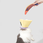 Pet Cone Collar