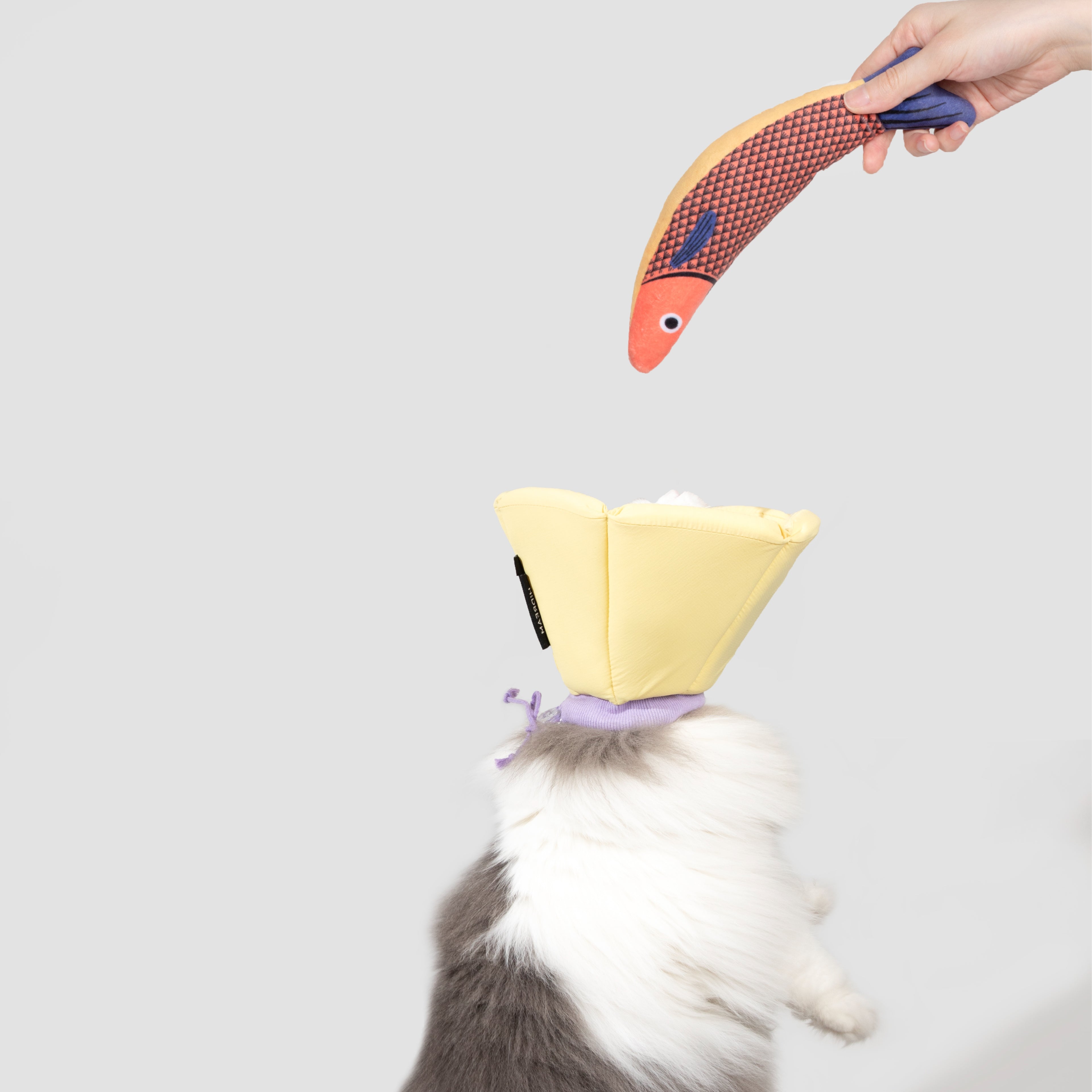 Pet Cone Collar