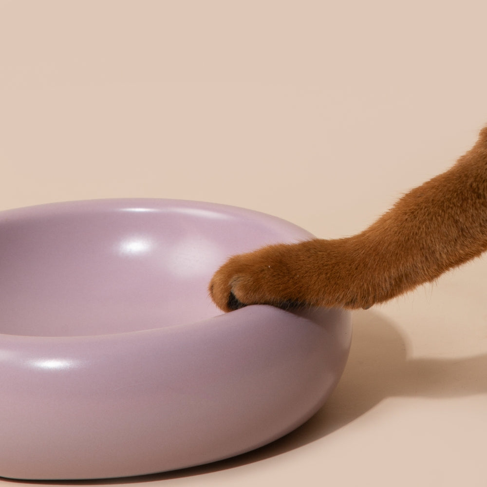 The Toast Ceramic Pet Bowl Main image