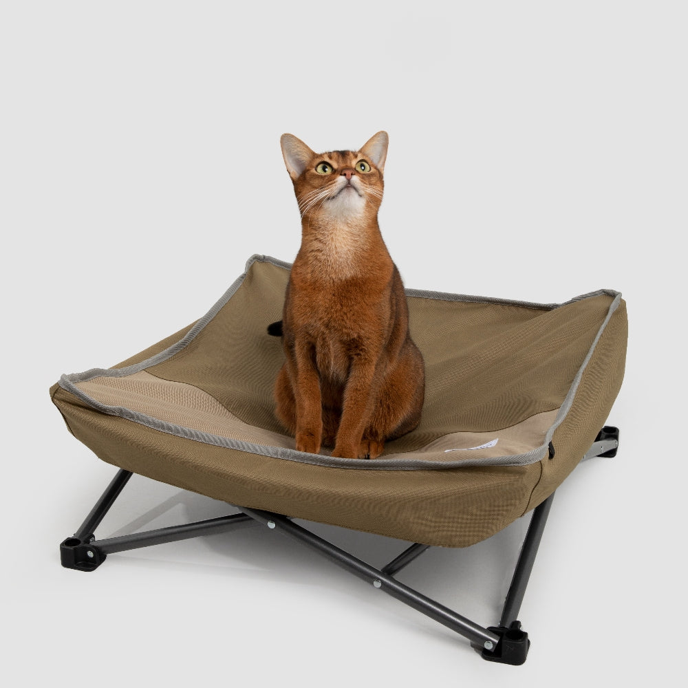 Elevated Foldable Pet Cot