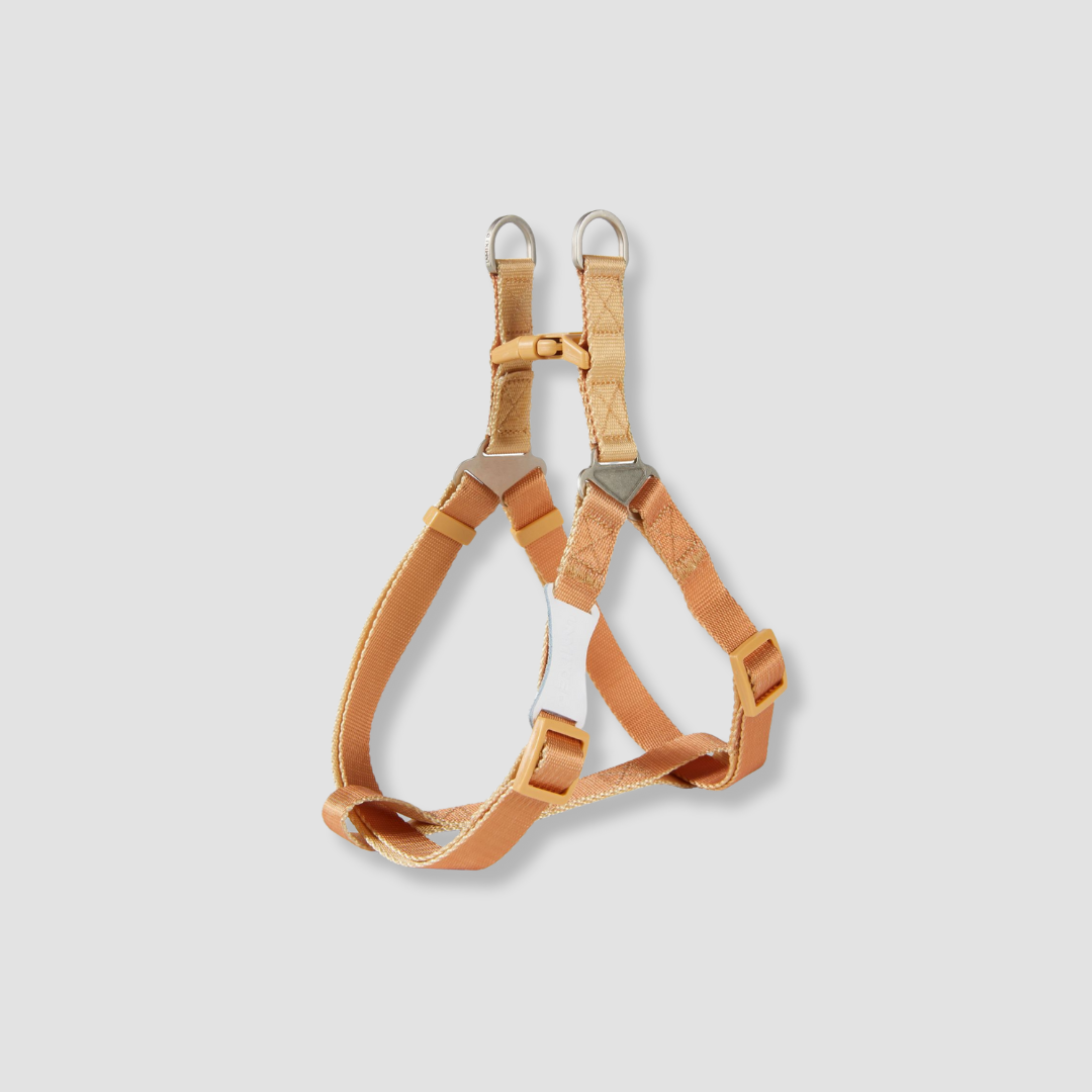 adjustable color block dog harness for walks
