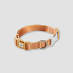 adjustable color block dog collar
