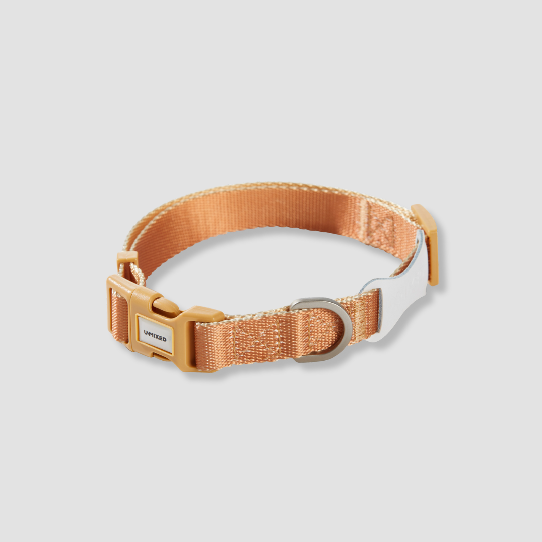 adjustable color block dog collar