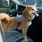 Adjustable Shock-Absorbing Car Safety Belt