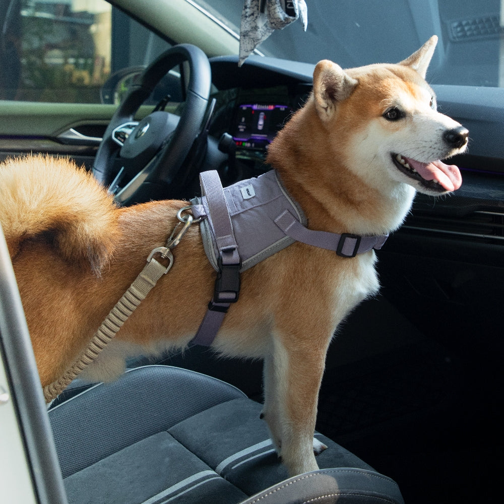 Adjustable Shock-Absorbing Car Safety Belt