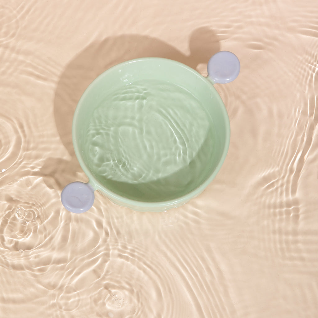 Mini Handle Ceramic Pet Bowl