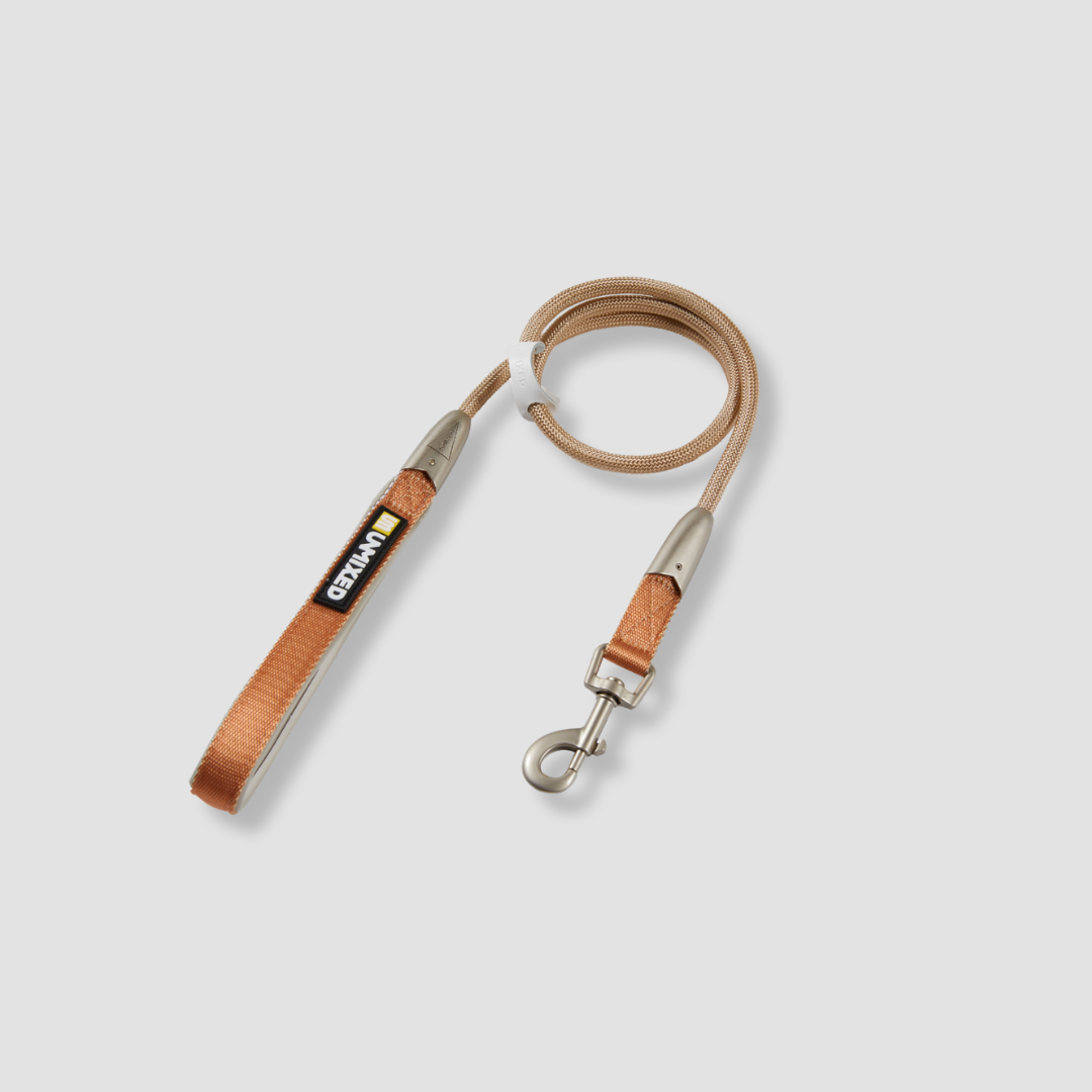color block dog leash for daily walks
