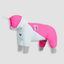 breezeshield outdoor dog jumpsuit