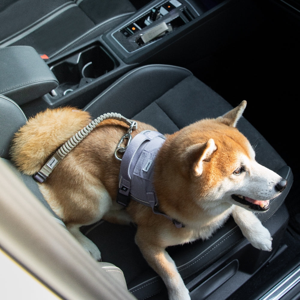 Adjustable Shock-Absorbing Car Safety Belt