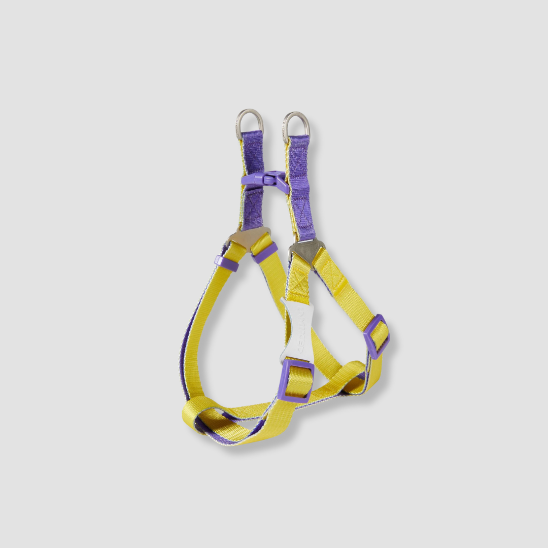 adjustable color block dog harness for walks