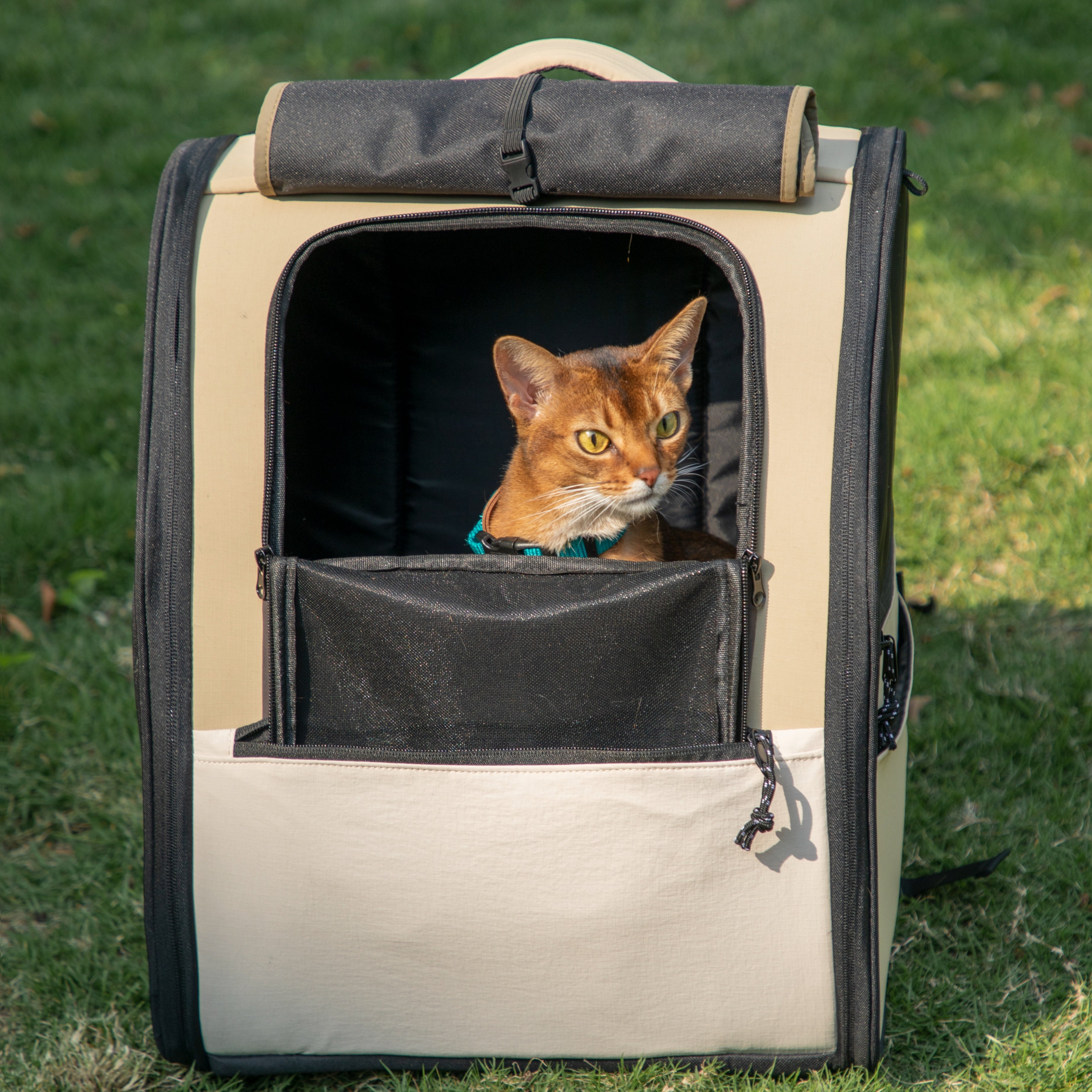 Fort Stitch Cat Travel Backpack