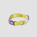 adjustable color block dog collar