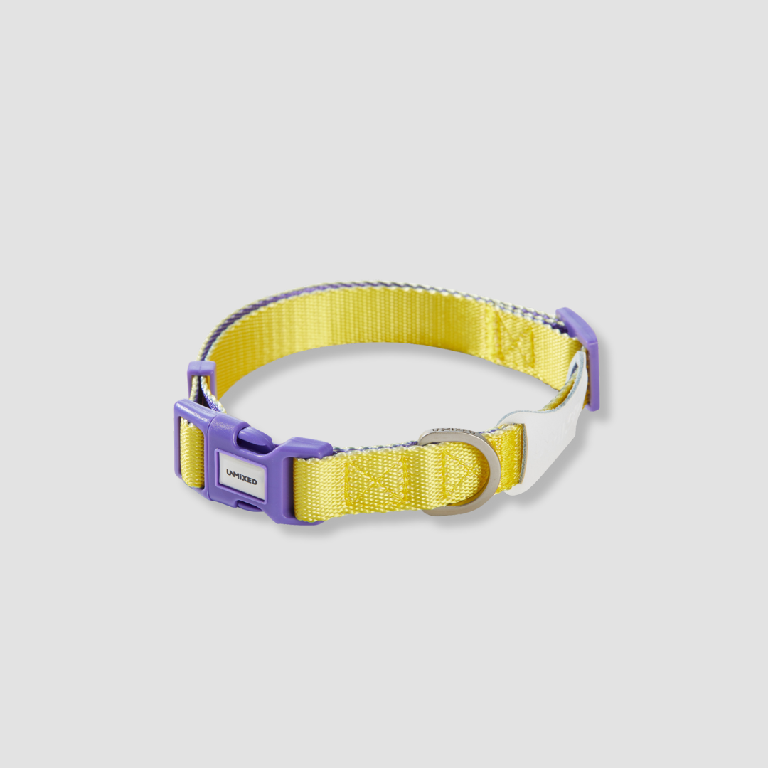 adjustable color block dog collar