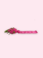 Dragon Fruit Snuffle Toy