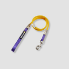 color block dog leash for daily walks