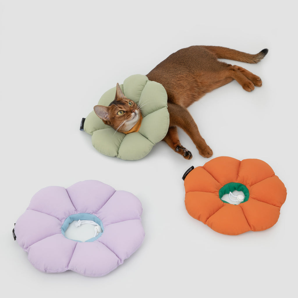 Floral Pet Cone Collar