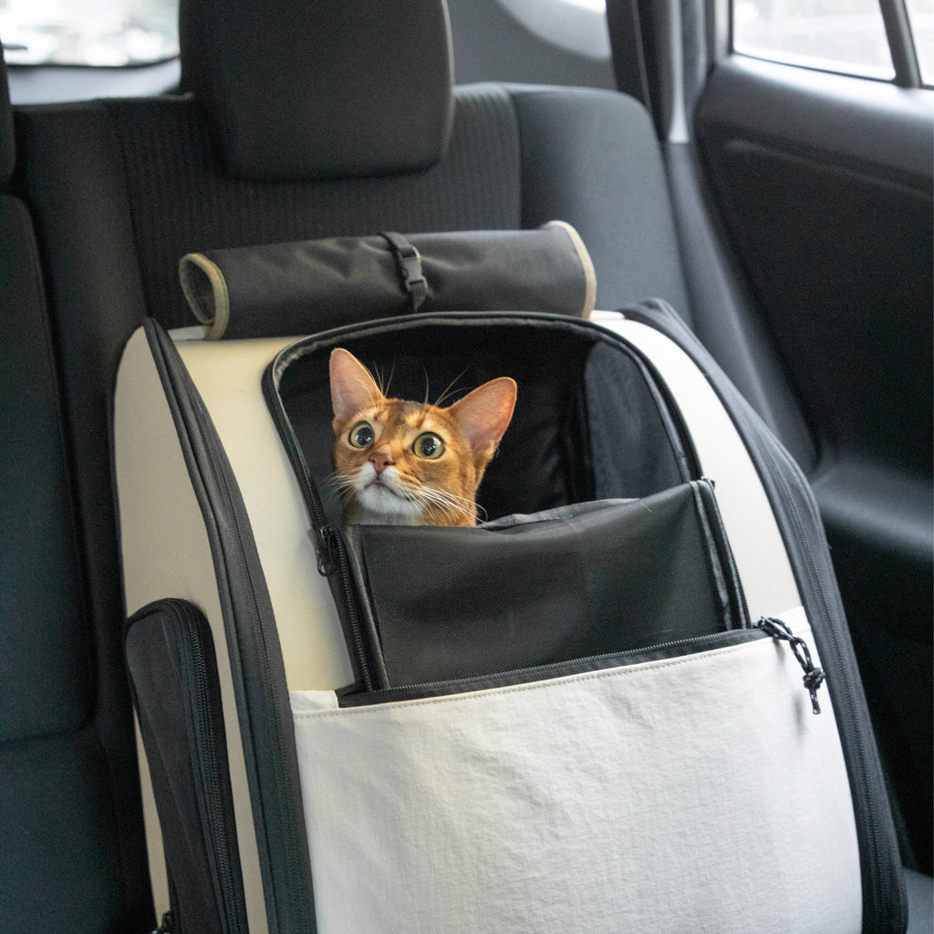 Fort Stitch Cat Travel Backpack
