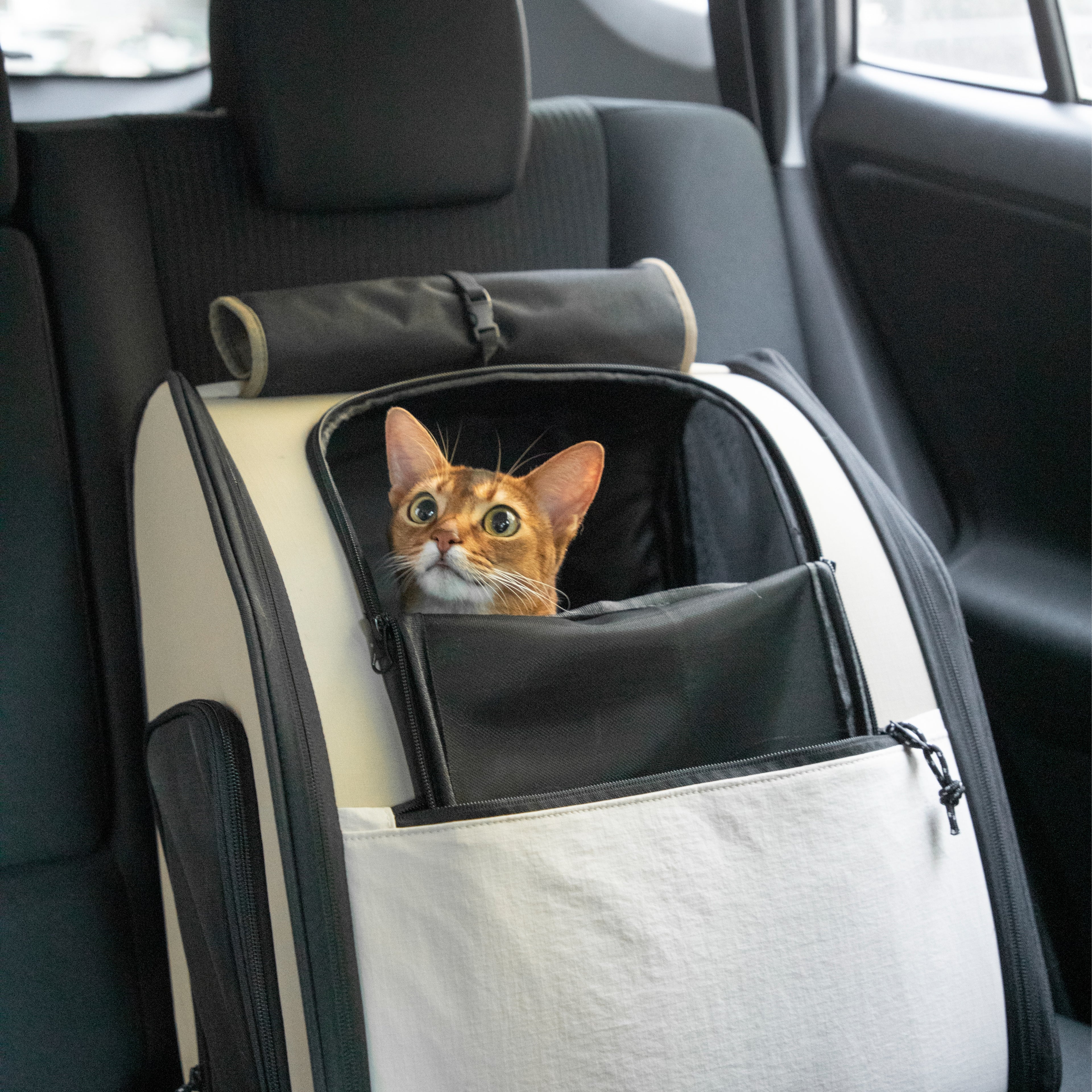 Fort Stitch Cat Travel Backpack