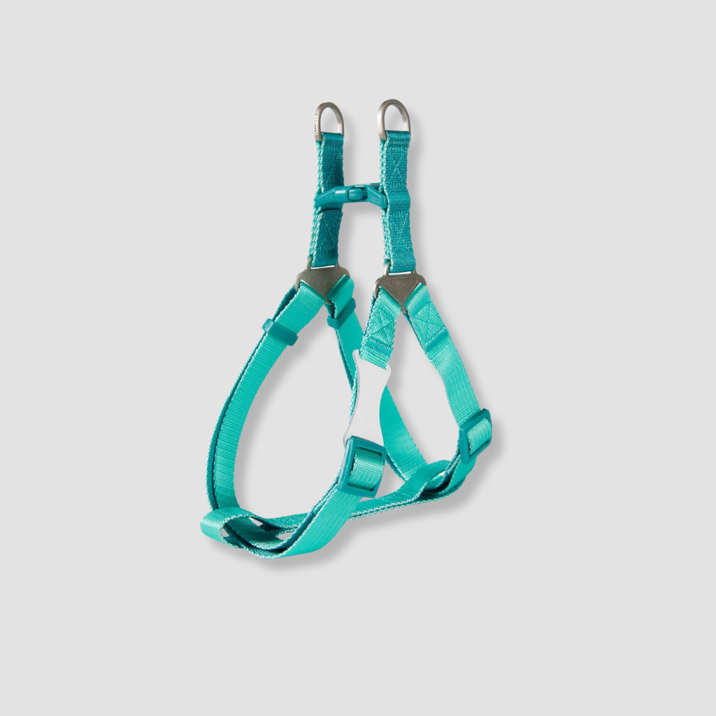 adjustable color block dog harness for walks