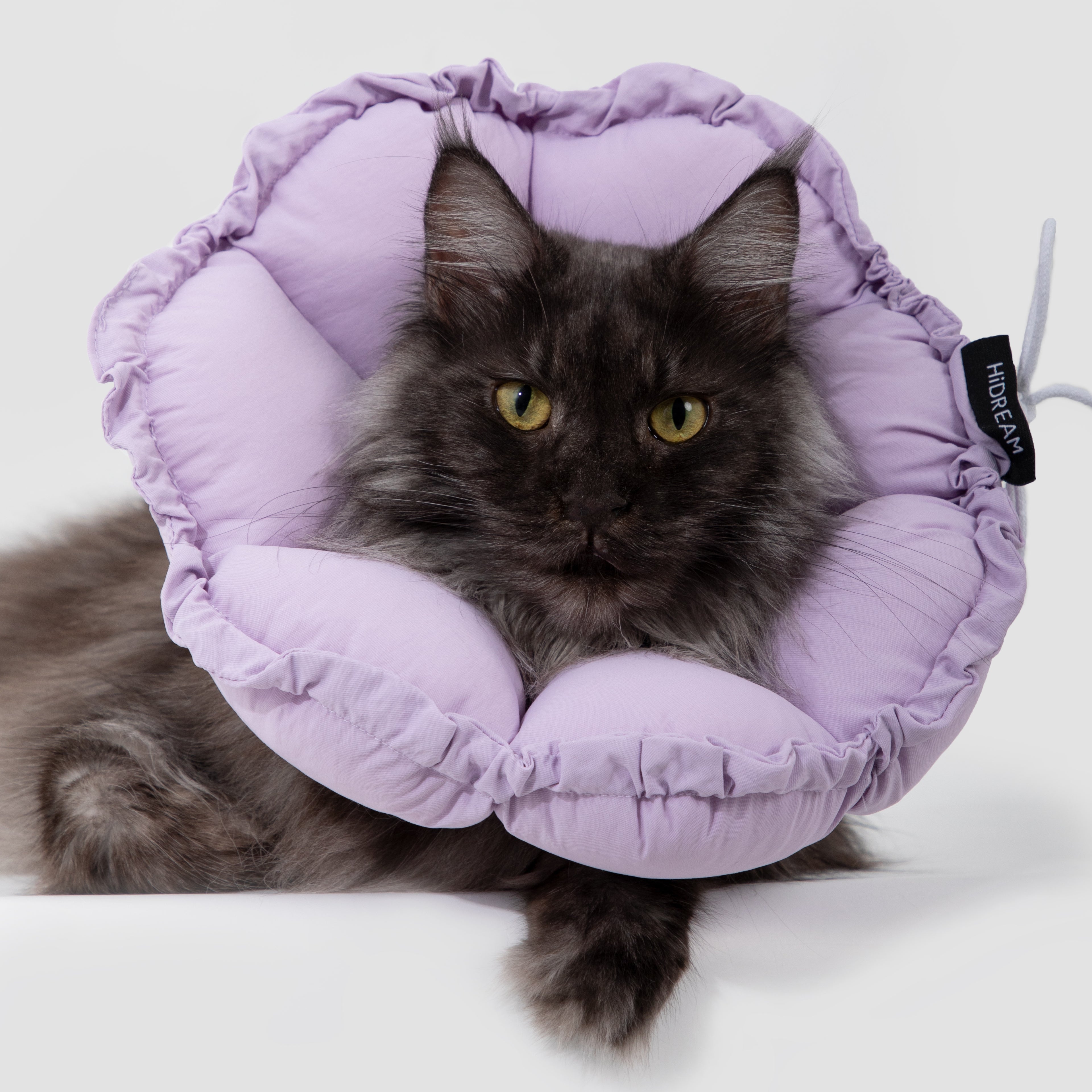 floral padded pet recovery cone collar