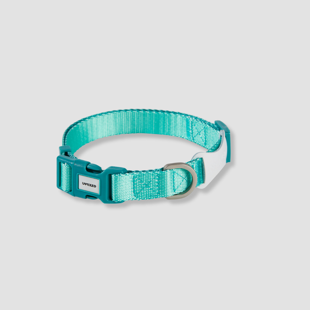 adjustable color block dog collar