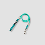 color block dog leash for daily walks