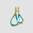 adjustable color block dog harness for walks